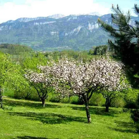 Les Joncquilles *